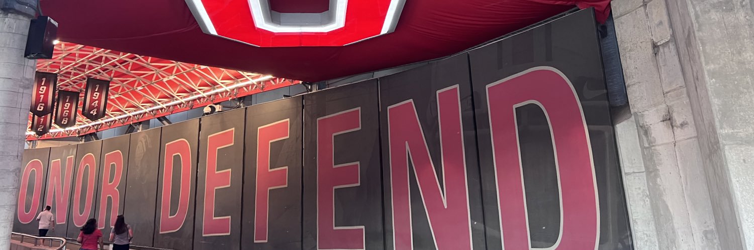 Hoody's banner