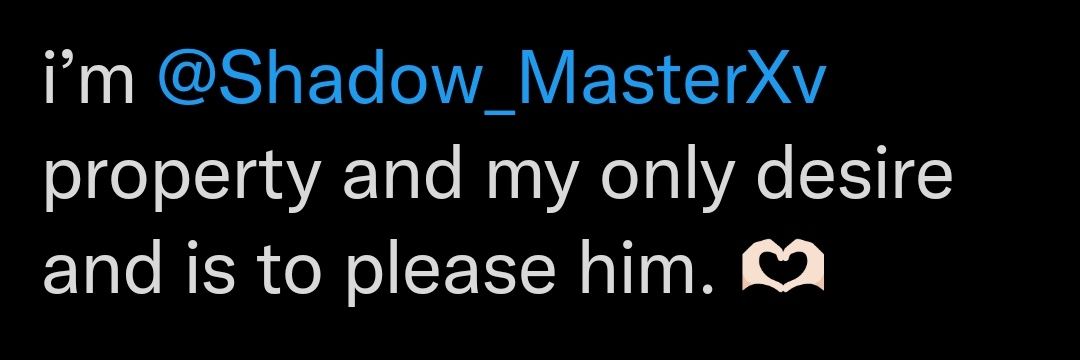 ShadowMaster's banner