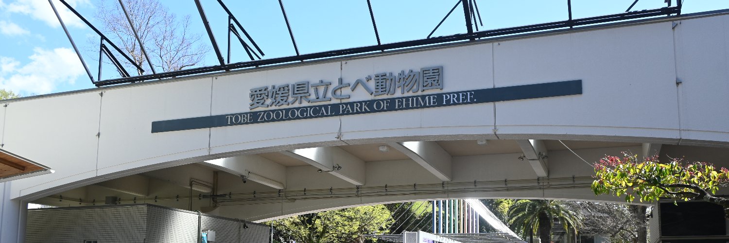 愛媛県立とべ動物園【公式】's banner