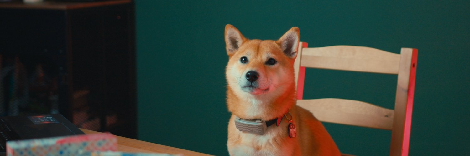 IosuaTCG's banner