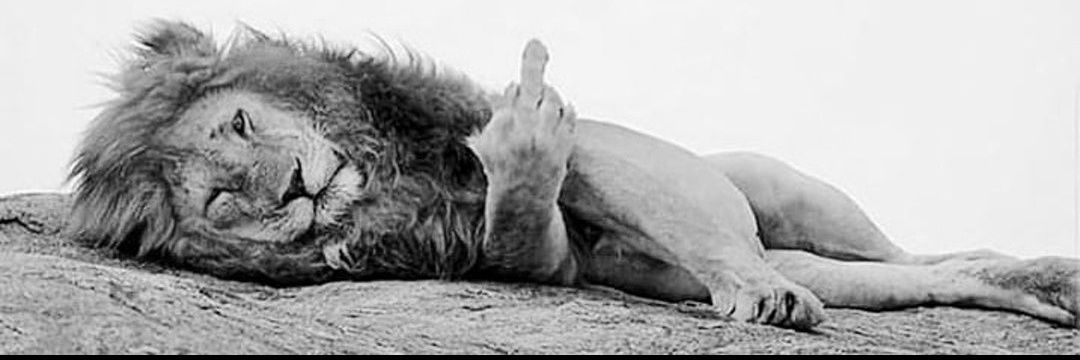 شیرِ سوخته's banner