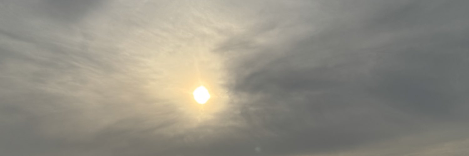 サ柄直生's banner