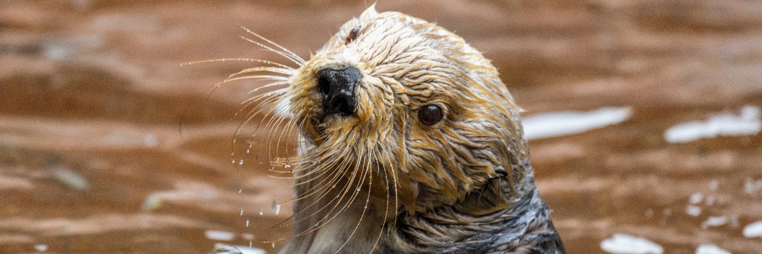 Point Defiance Zoo & Aquarium's banner