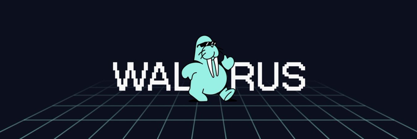 TrollFootBall_3 (Ø,G) π²'s banner
