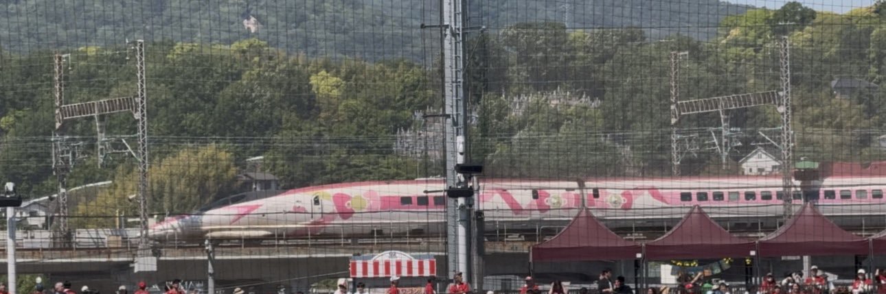 kenji 今シーズン10勝12敗 Next 6/19 マツダスタジアムファーム's banner