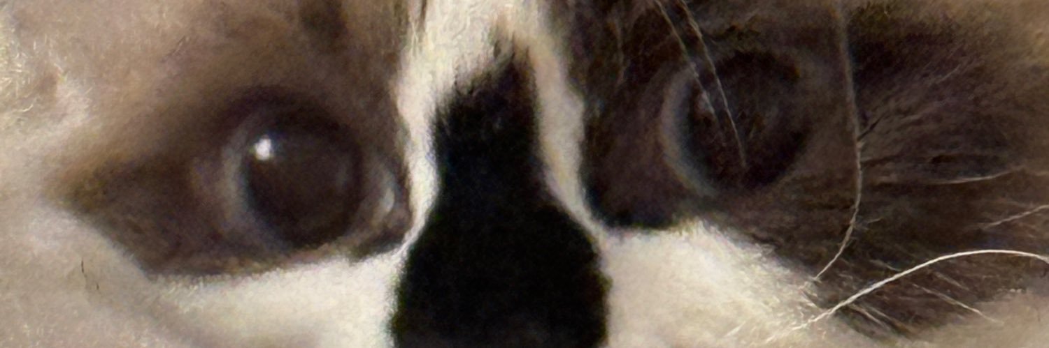 sergii's banner