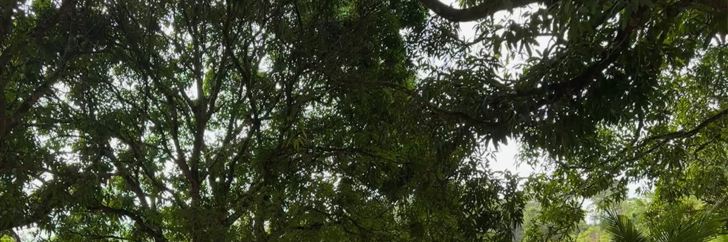 𝐤𝐮𝐫𝐮's banner
