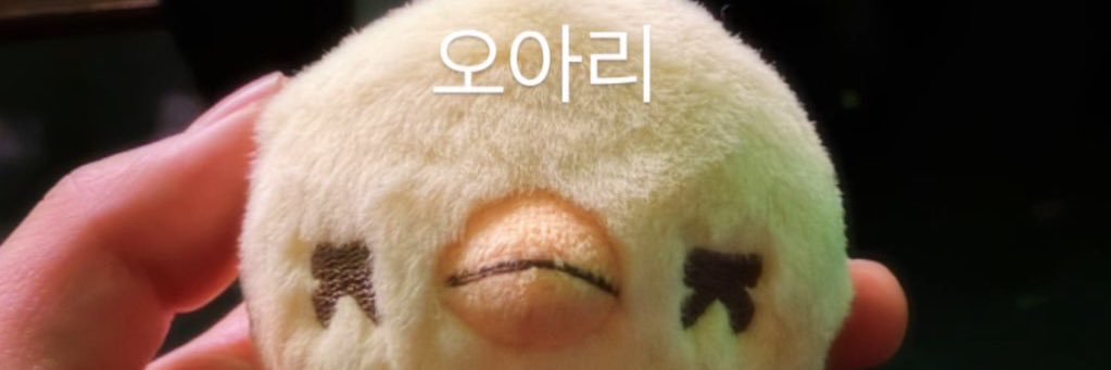 코드🥨's banner