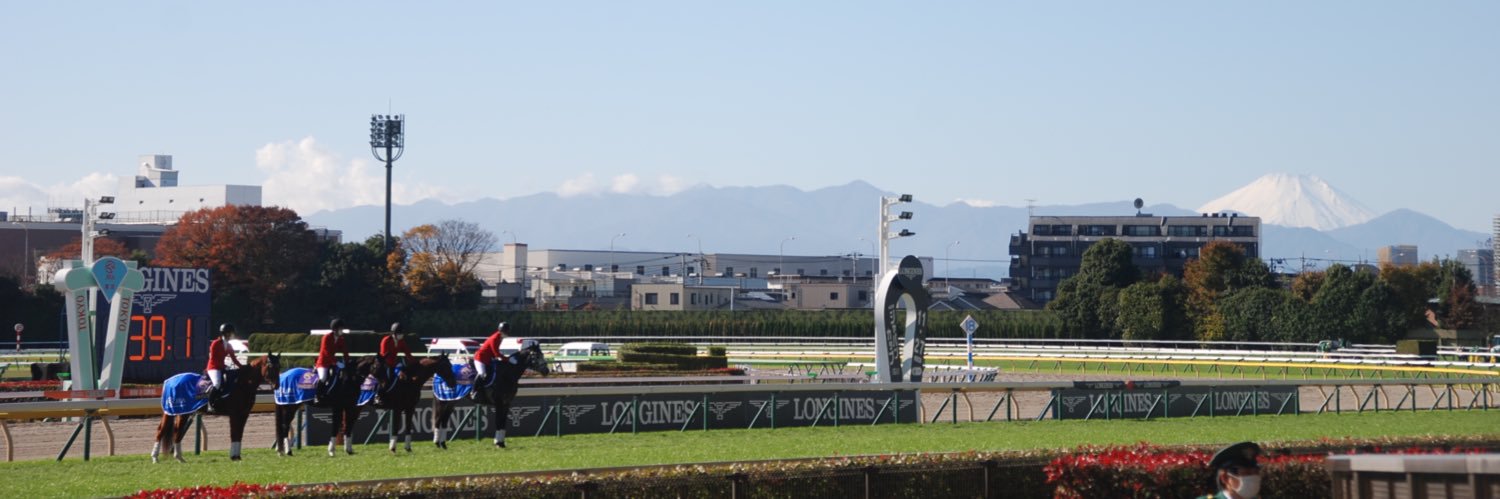 めぐセンセ🐴@阪神の直線も長いじゃん's banner