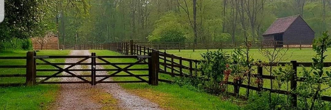 Sabine Kayani || سبین کیانی ||'s banner
