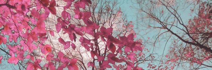 Melooo/资源记录库's banner