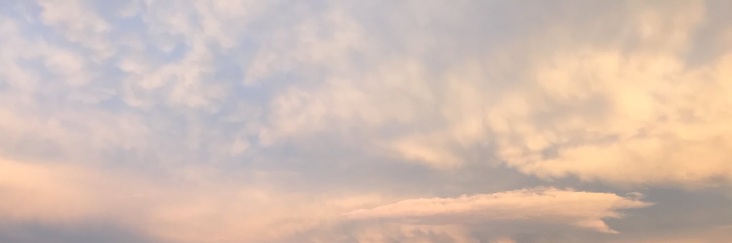 ankarasız namık's banner
