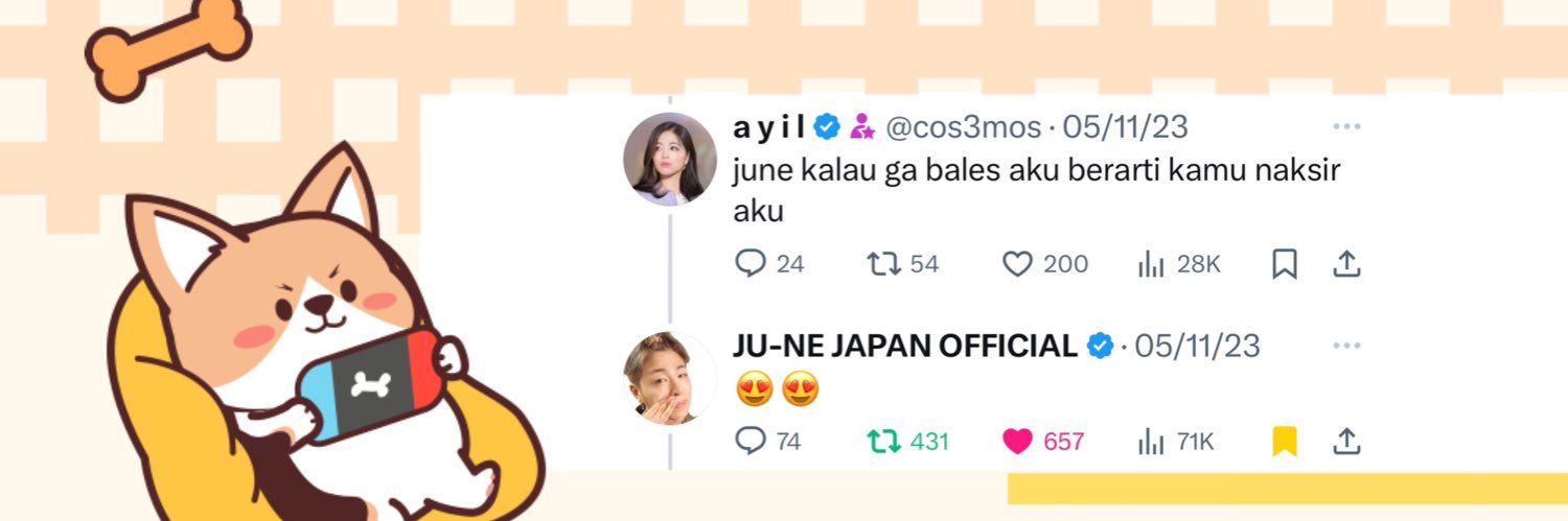 a y i l's banner