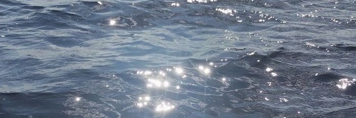 Deniz✨'s banner