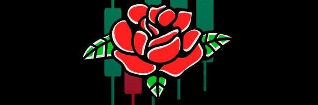 Rose Premium Signals 🌹's banner