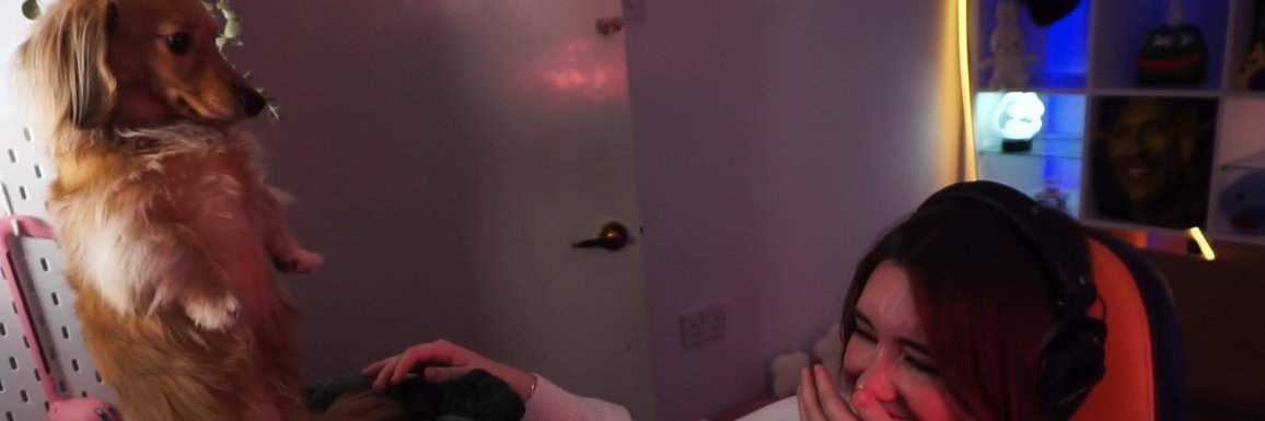 poopernoodle's banner