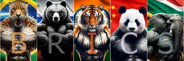 Fernando Lopez 🇧🇷🇨🇳🇷🇺🇨🇴 🇿🇦 🇵🇸🇮🇷🇻🇪's banner