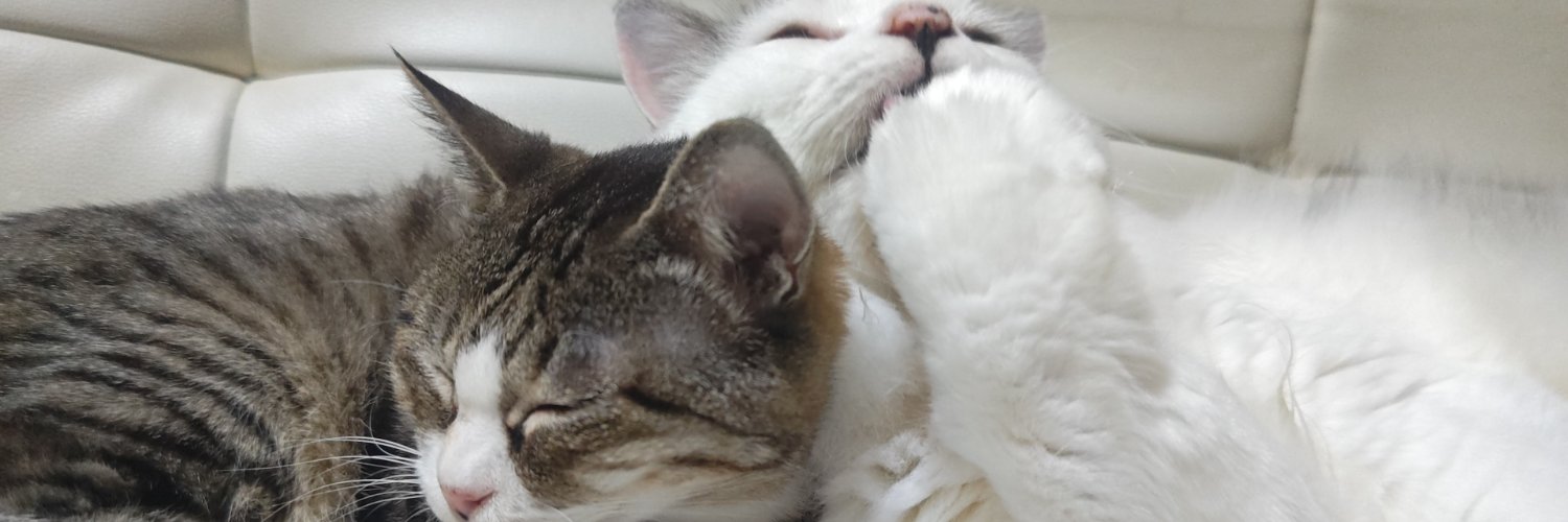 🐾落合🐾れいわオーナーズP's banner