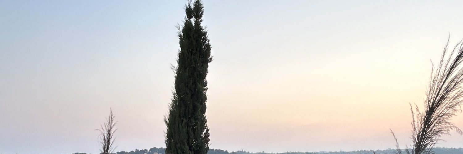 Elena 👼🏻's banner