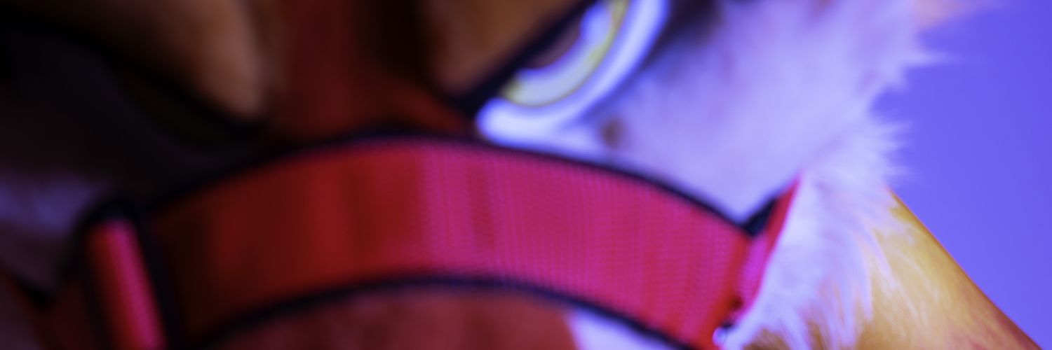 Dedran/Orbit's banner