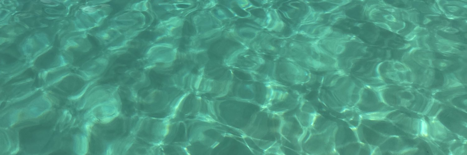 𝗧𝗿𝗮𝗶𝘀𝘆 🧜‍♀️'s banner
