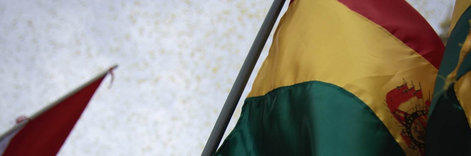 Rodrigo Paz Pereira's banner