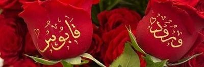 وُرُوُد🎶ڦــابــۄ๛🥀's banner