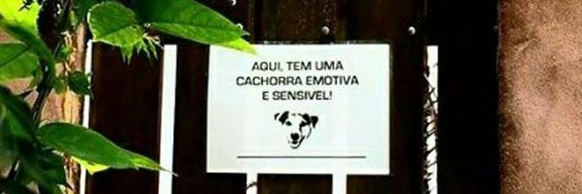caismila's banner