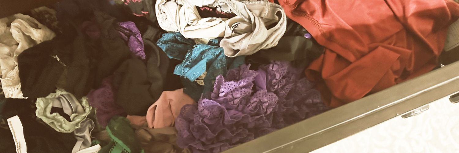 My Wife's Panties's banner