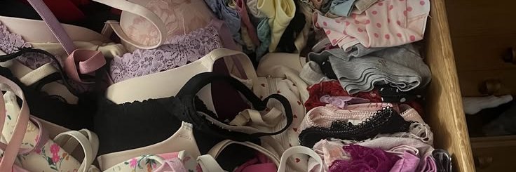 My Wife's Panties's banner