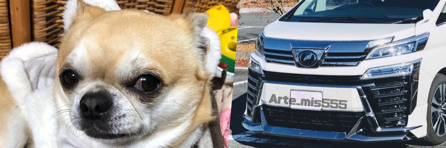 Artemis@ 疲れ気味!!😂's banner