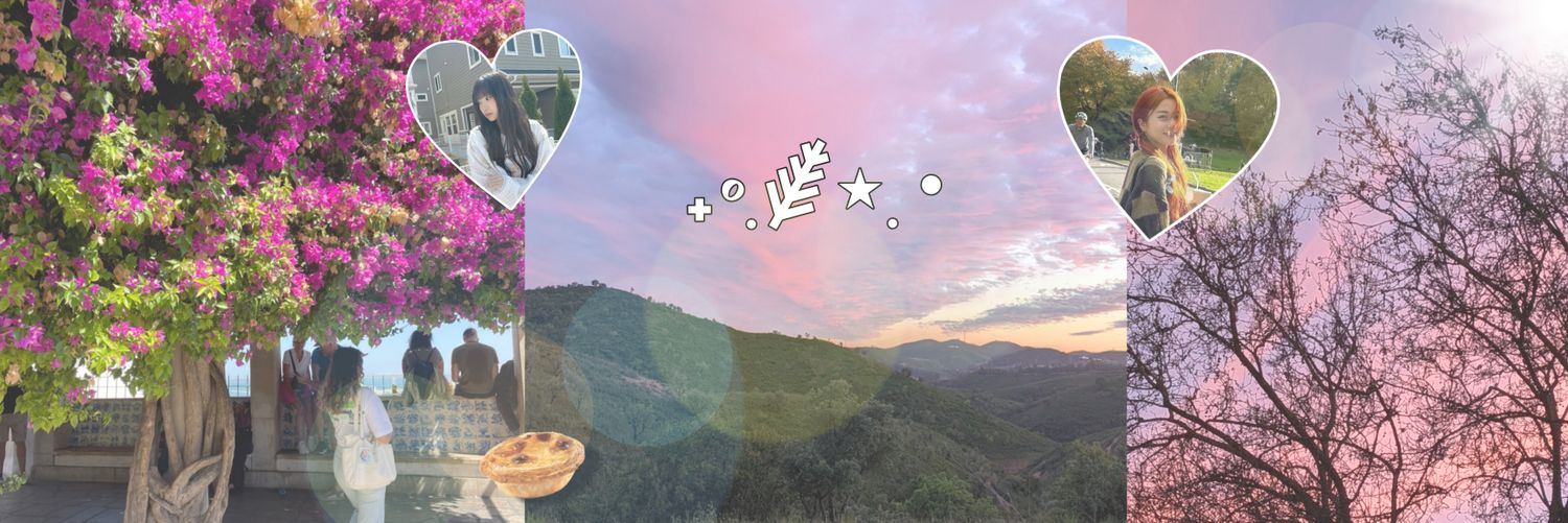 carol 𖧧's banner