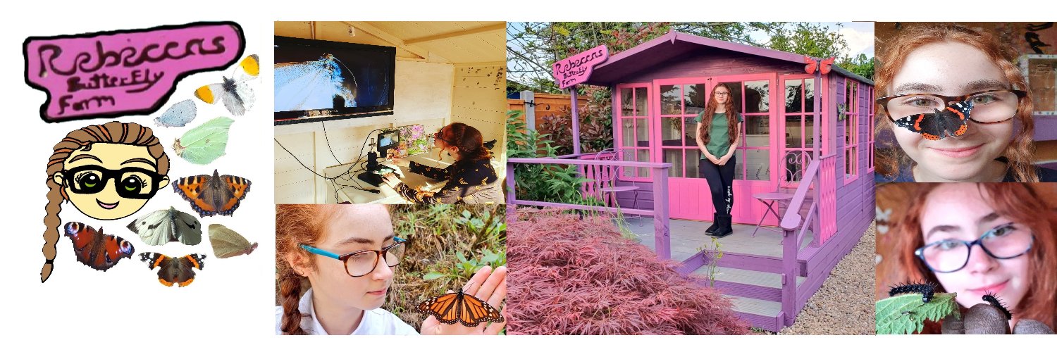 Rebecca's Butterfly Farm (BCyA)'s banner