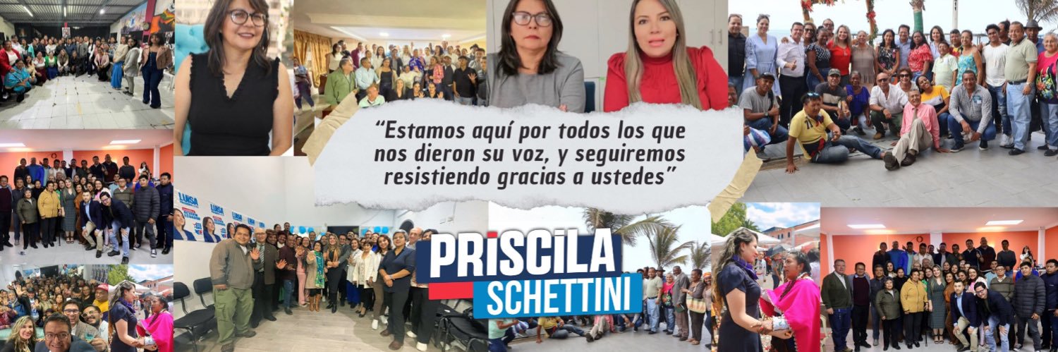 Priscila Schettini's banner