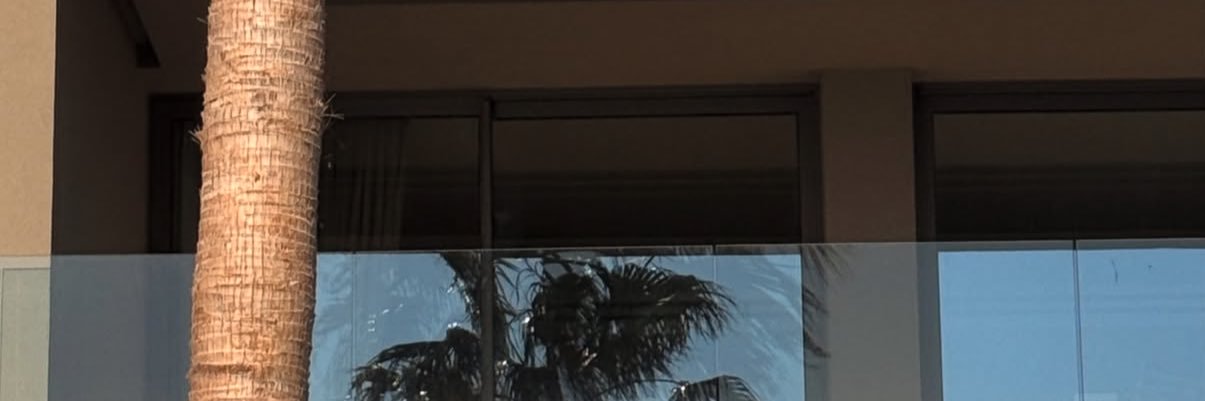 𝘔𝘪𝘴𝘴 𝘈𝘭𝘦𝘹𝘴𝘪𝘷𝘢's banner
