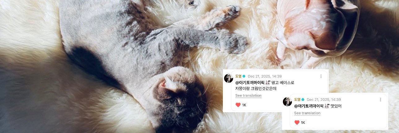 아기토끼마이픽!🐰ྀི's banner