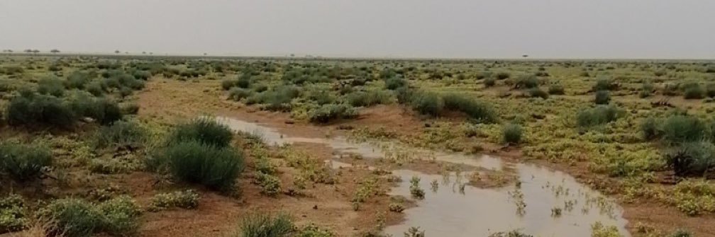 حميد الميموني's banner