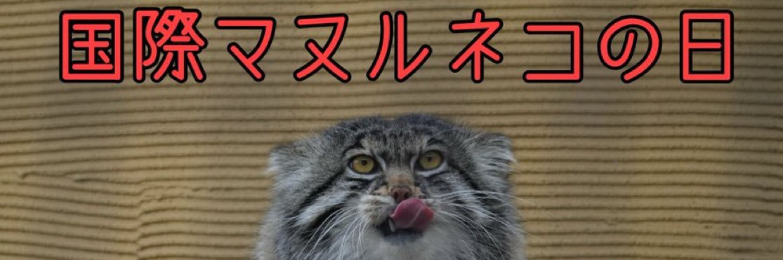 ✶'s banner