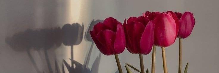 الجـ ♡ــازي's banner