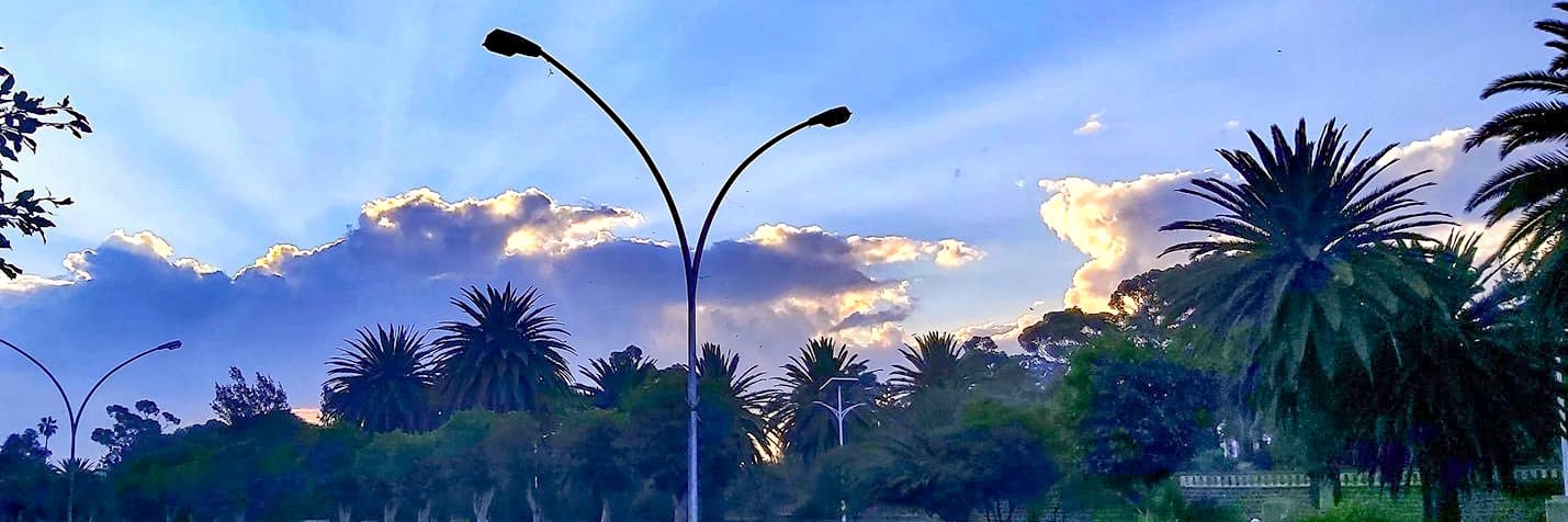 Nahom Ghidey's banner