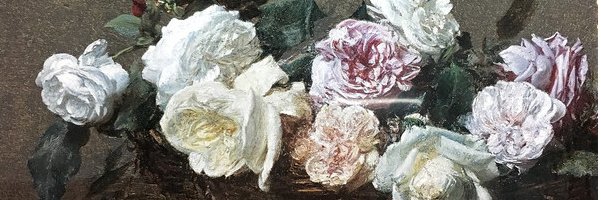 Fabrice Arfi's banner