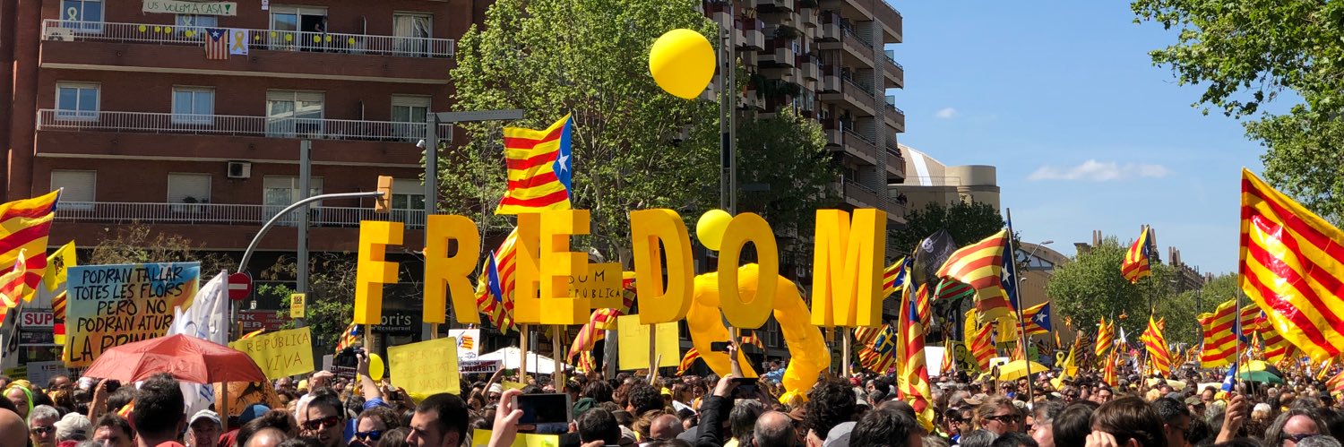 P.Rovira's banner