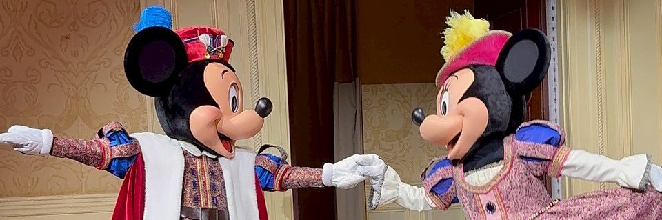 YU🐭🎺's banner