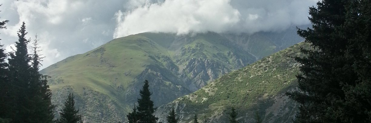 Val Barashkov's banner