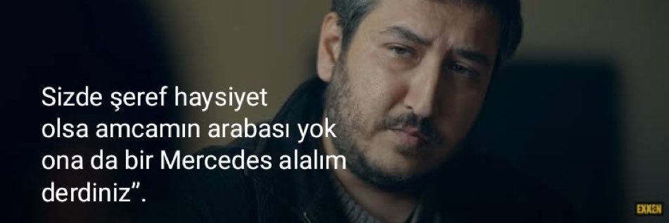 Zeynep Molla Palevi's banner