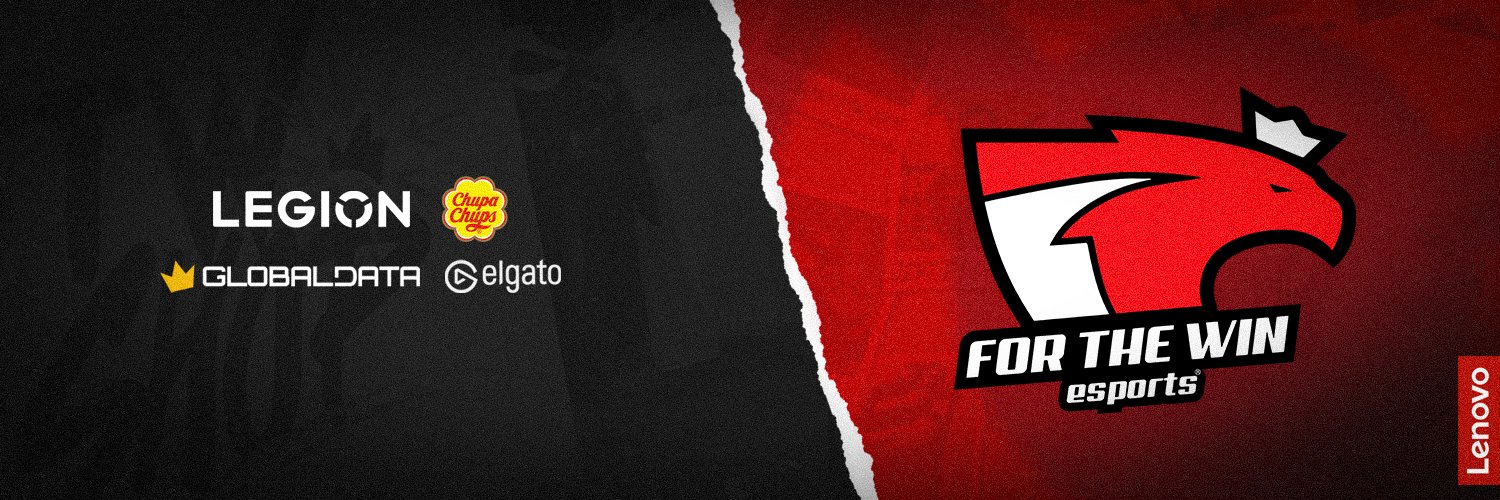 FTW | For The Win Esports's banner