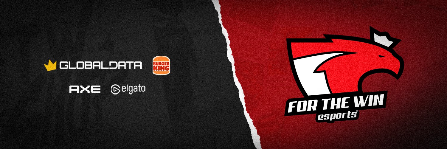 FTW | For The Win Esports's banner