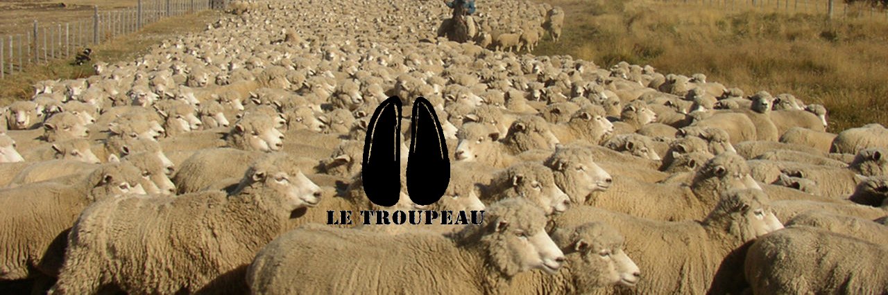 Le Troupeau de petits Elon's banner