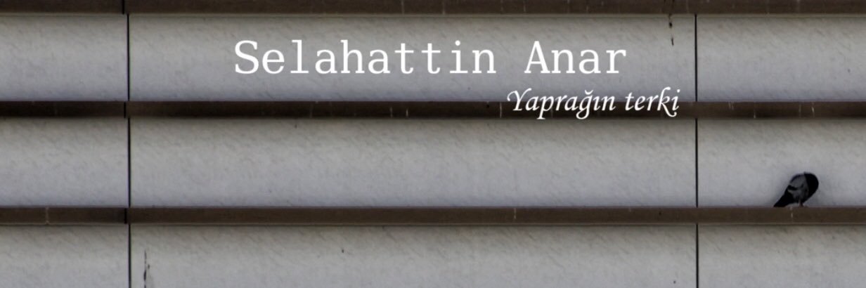 Selahattin Anar's banner