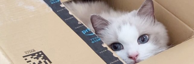ことら🐾モフドール's banner